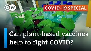 Plantbased vaccines for COVID19 and other viruses  COVID19 Special [upl. by Naesyar]