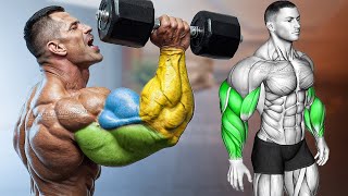 ARM DAY Biceps Triceps and Forearms Effective Workout [upl. by Fredie782]