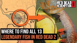 Where To Find All 13 Legendary Fish in Red Dead Redemption 2 [upl. by Haonam]