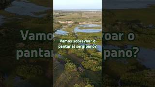 VOANDO Do Recanto Dunas ao Pantanal Sergipano  turismo shortsvideo dronephotography [upl. by Saihttam580]