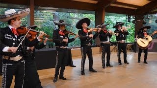 mariachis en Barcelona Son de la negra Mariachi Internacional Barcelona [upl. by Eirolav]