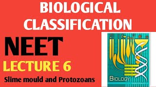 BIOLOGICAL classification Lecture 6  Kingdom protista Slime mould and Protozoans NCERT 11 [upl. by Hgielyak]