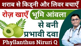 Bhumi Amla benefits Phyllanthus Niruri homeopathic medicine Benefits of bhumi amla Phyllanthus Q [upl. by Calore63]