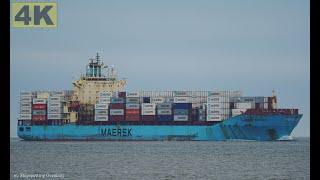 MAERSK BINTAN  Shipspotting Germany 🇩🇪 IMO 9355288  River Elbe near City Otterndorf  4K VIDEO [upl. by Esau]