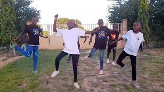 Teejay Drift amapiano official dance video [upl. by Bowes631]