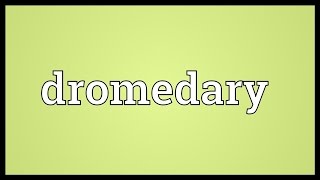 Dromedary Meaning [upl. by Aziar]