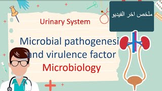 Bacteria Virulence Factors Microbiology هتخرج حافظ وفاهم [upl. by Lamson]