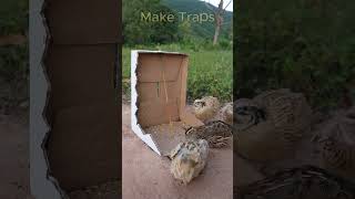 Easy Underground Bird Trap  shorts  Make Traps [upl. by Thorfinn]