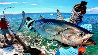 Bonite Sur Chasse Au Popper  Rock Fishing Guadeloupe [upl. by Palla5]