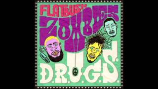 Flatbush Zombies  SCOSA Prod By Erick Arc Elliott [upl. by Letta]