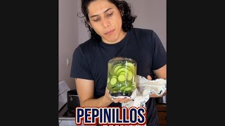 Receta de pepinillos resumen [upl. by Eiduj]