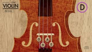 Violin Tuner GDAE in A 440Hz [upl. by Zarah]