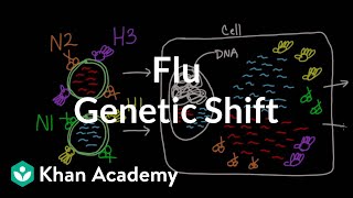 Genetic shift in flu  Infectious diseases  Health amp Medicine  Khan Academy [upl. by Lammond]