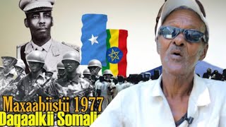 Cajiib  Sheekada Maxbuuskii Xabashida ka baxsaday dagaalkii 77  Mujaahid Maxamuud Suudi [upl. by Gaelan]