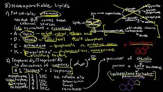 BIOCHEM 11  Nonsaponifiable Lipids [upl. by Laroc]