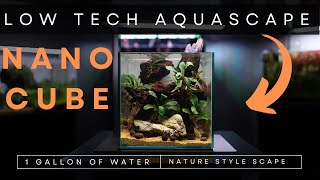 BUILDING an EPIPHYTE ONLY Aquascape [upl. by Idona]