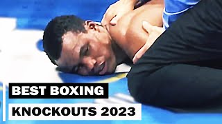 Best Boxing Knockouts of 2023 [upl. by Trescha476]