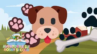 Rosky si Coco  Bingo 🐕 🐩 🐶  Nursery rhymes  Super simple songs [upl. by Neehsas]