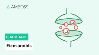 Eicosanoids Formation Function and Subclasses [upl. by Mieka]