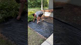 Yard transformation lawncare lawnmaintenance lawn yard landscaping Transformationsatisfying [upl. by Aliemaj]