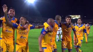 Beto Zapata  Tigres campeón Video Mix [upl. by Ogu]