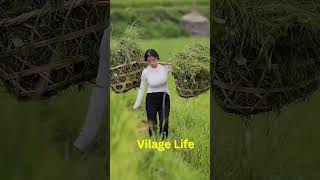 The Most Beautiful Village in the World Revealed shorts ytshorts [upl. by Hetty963]