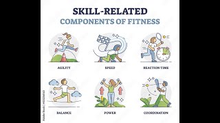 What are the Skill Related Fitness Components [upl. by Hoxie]