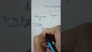 Stages of Hematopoesis [upl. by Laval]