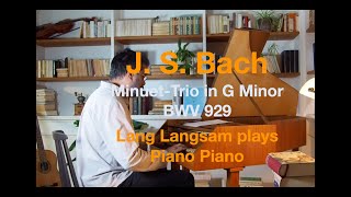 J S Bach  Minuet in G Minor by Gottfried Heinrich Stölzel amp Minuet Trio by JS Bach BWV 929 [upl. by Pyotr]