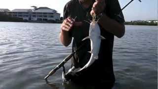 Clearwater Fl Intercoastal flats fishing Seatrout [upl. by Latoniah751]