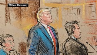 Trump pleads not guilty to January 6 charges [upl. by Zorana]