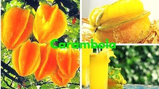 CARAMBOLA 14 Importantes Propiedades Medicinales para la Salud [upl. by Gagliano]