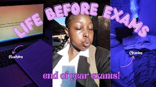 Life before examscleaningstudyinglash liftgymSouth African YouTuber [upl. by Aicilehp]