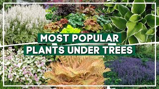 Top 15 Most Popular Plants for Planting Under Trees 🍃 🌳  PlantDo Home amp Garden [upl. by Idihc736]