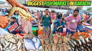 Fish Prices 2024quot Karachi Fish Market  Biggest Fish Market In Pakistan  Seafood At Wholesale Rates [upl. by Phoebe925]