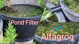 Easy Small Pond Filter For Healthy Clean Water [upl. by Ttocs]