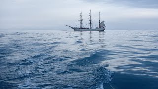 Videos más Raros Barcos Vs Olas Gigantes [upl. by Ayocat806]