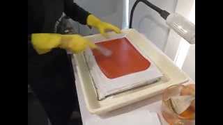 Photogravure Brush Sensitizing Process [upl. by Adneral]