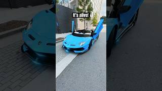 It Speaks Lamborghini SVJ [upl. by Adnil]