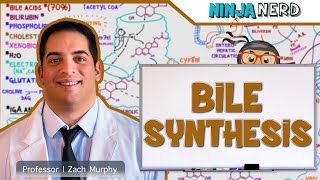 Gastrointestinal  Bile Synthesis [upl. by Einalem]