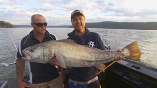 IFISH Hawkesbury Mulloway [upl. by Daloris616]