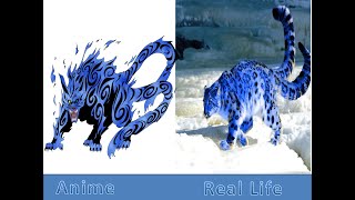 All Tailed Beast in Real LifeNaruto [upl. by Hildagarde]