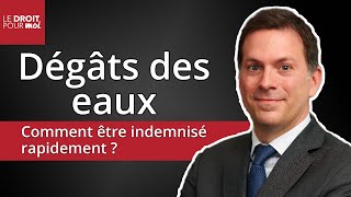 Dégâts des eaux  comment être indemnisé rapidement [upl. by Laktasic]