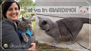 Si va in giardino con i gattini [upl. by Waters663]