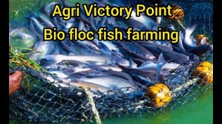 Bio flock fish farming [upl. by Nivk]