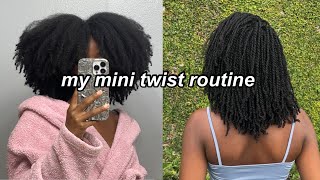 MY MINI TWIST ROUTINE ON STRETCHED NATURAL HAIR type 4✨ [upl. by Llehsyar2]