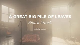 A Great Big Pile of Leaves  Snack Attack Official Music Video [upl. by Jovitta793]