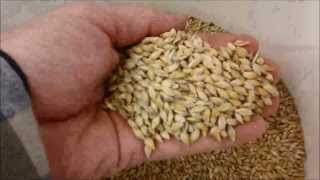 Barley to Beer in 100 seconds [upl. by Angel202]