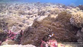 Scuba Diving In Gili Islands Trawangan Meno Air Indonesia [upl. by Durrace]