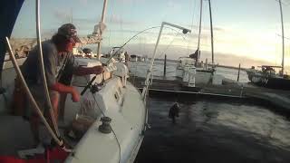 WATCH now BEST FISHING SHOW FLORIDA NICE CATCHES big CATFISH [upl. by Austreng756]